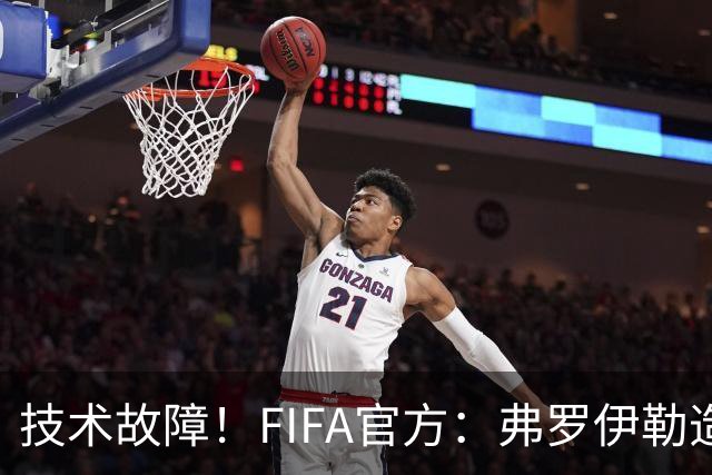 技术故障！FIFA官方：弗罗伊勒造点没有越位 瑞士进球无异议